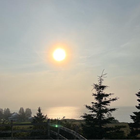 Meet your Posher, Patrick & sarah - Picture 1 of 1